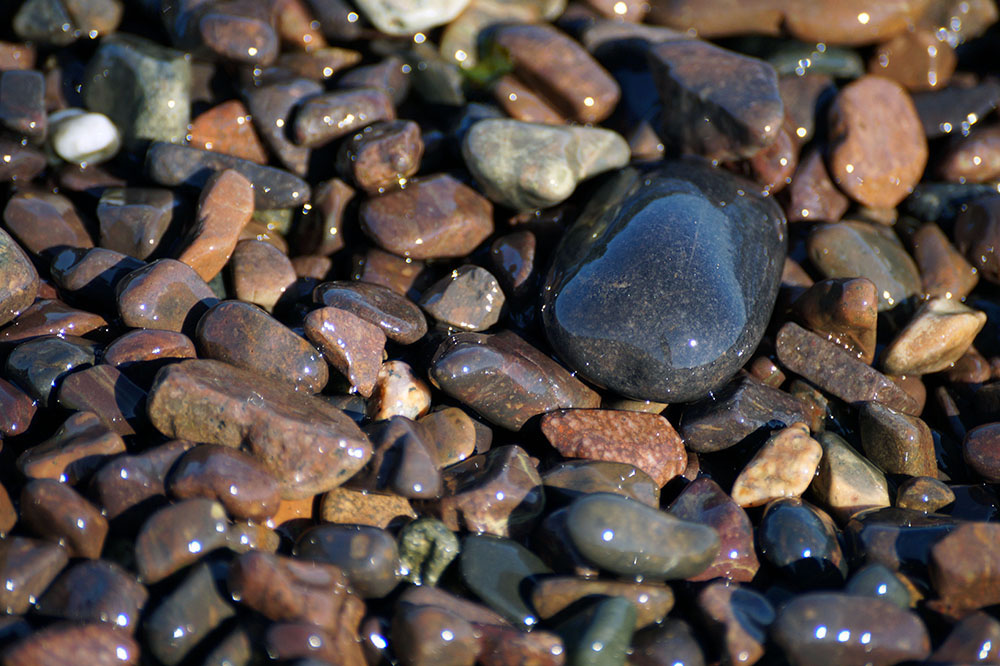 Rocks at the Beach